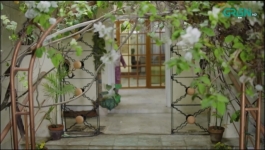 Humnava - Episode 83